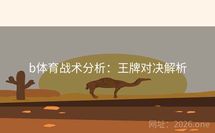 b体育战术分析：王牌对决解析