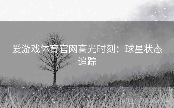 爱游戏体育官网高光时刻：球星状态追踪